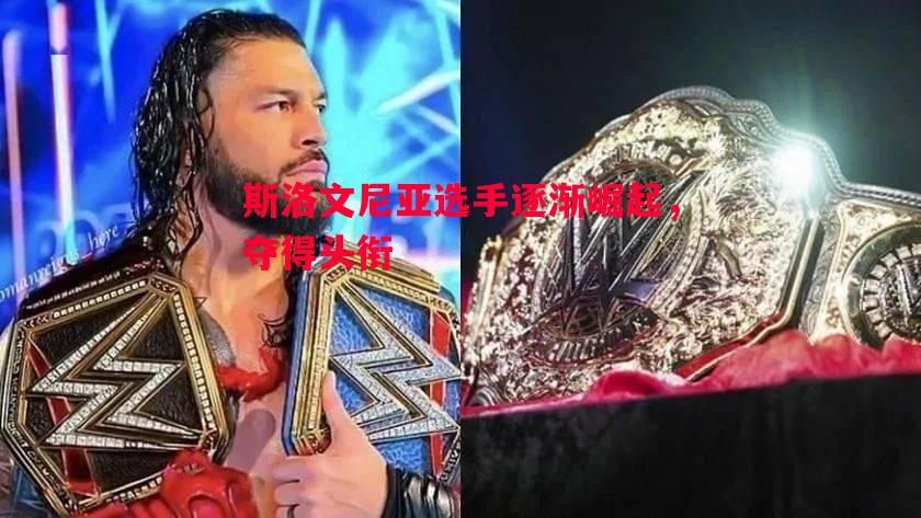 悟空体育-斯洛文尼亚选手逐渐崛起，夺得头衔