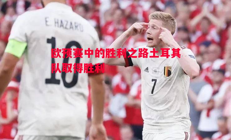 悟空体育-欧预赛中的胜利之路土耳其队取得胜利