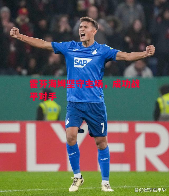霍芬海姆坚守主场,成功战平对手 霍芬海姆坚守主场,成功战平对手